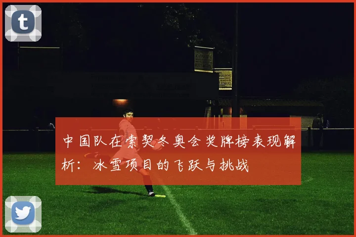 中国队在索契冬奥会奖牌榜表现解析：冰雪项目的飞跃与挑战