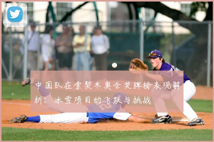 中国队在索契冬奥会奖牌榜表现解析：冰雪项目的飞跃与挑战